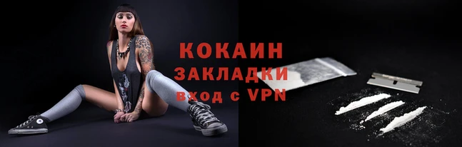 скорость Каменногорск