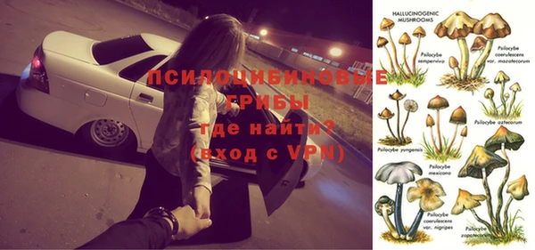 гашиш Каменка