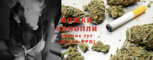 скорость Каменногорск